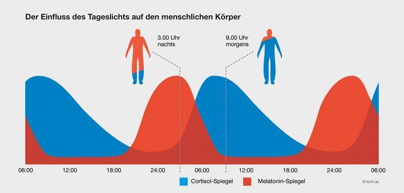 einfluss-tageslicht-koerper
